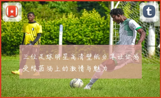 三位足球明星高清壁纸分享让你感受绿茵场上的激情与魅力