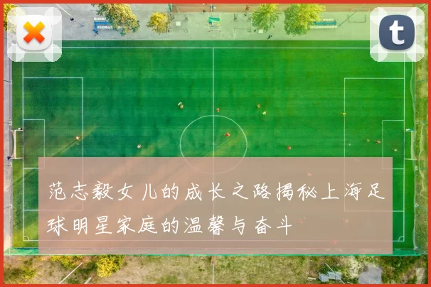 范志毅女儿的成长之路揭秘上海足球明星家庭的温馨与奋斗