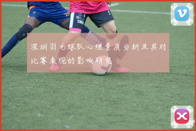 深圳羽毛球队心理素质分析及其对比赛表现的影响研究