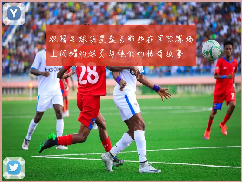 双籍足球明星盘点那些在国际赛场上闪耀的球员与他们的传奇故事