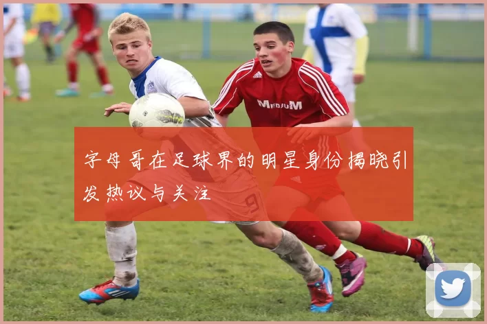 字母哥在足球界的明星身份揭晓引发热议与关注