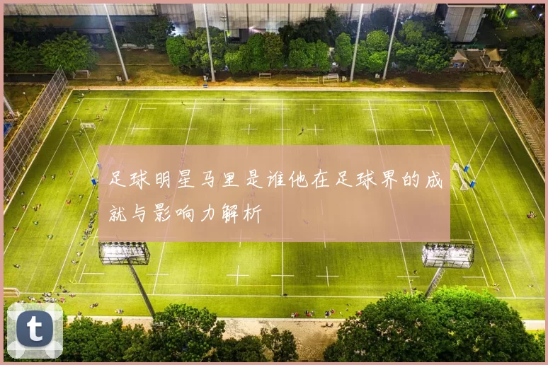 足球明星马里是谁他在足球界的成就与影响力解析